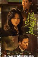 风吹半夏电视剧在线观看全集免费