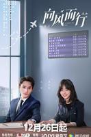 免费在线观看电视剧《向风而行》高清完整版