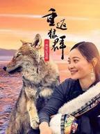 重返狼群1-12集完整版